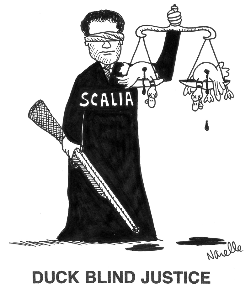 Scalia - Duck Blind Justice